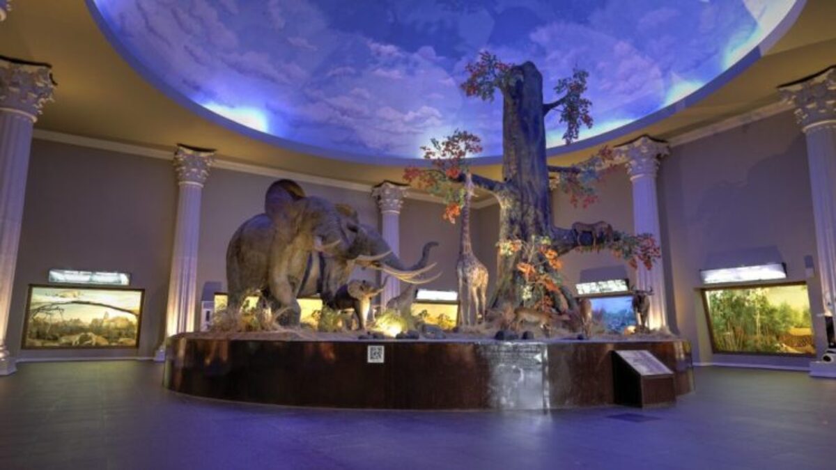 Jawa Timur Park 2 (Jatim Park 2)